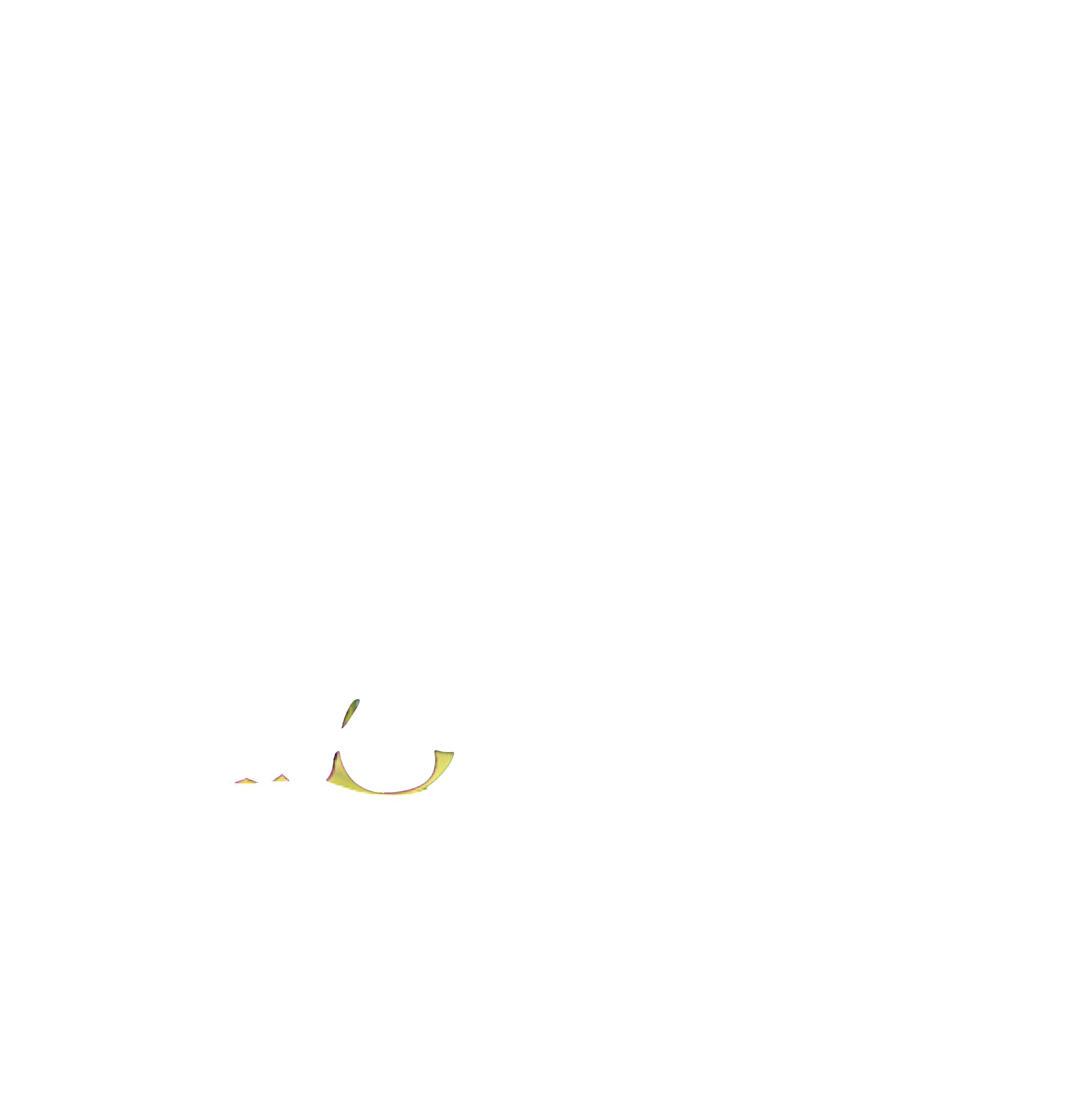 Right trapezius muscle